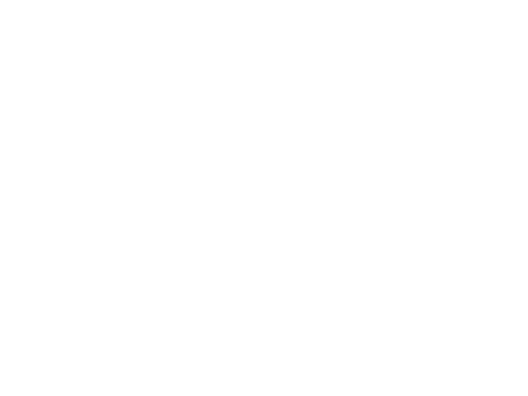Brainport