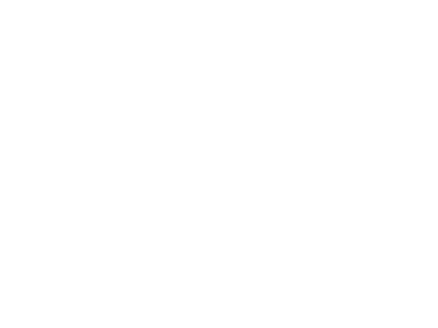 Budweiser