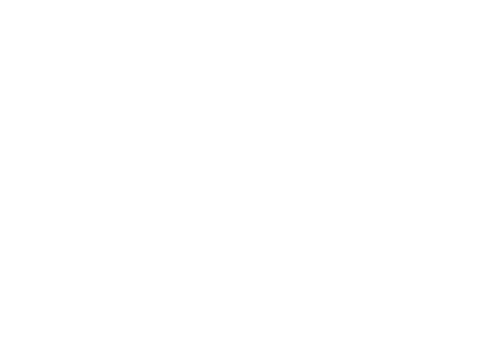 KNVB