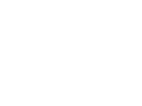PSV