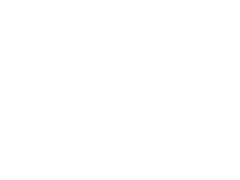 Team NL