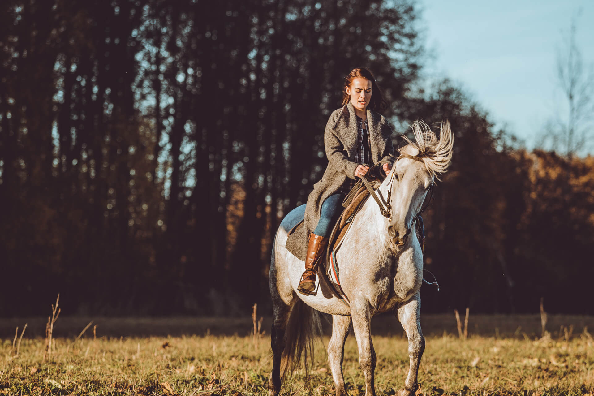 Horse