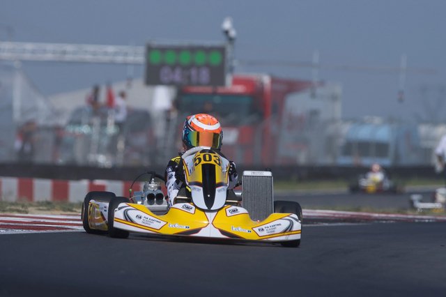 MeesHouben Cremona.02