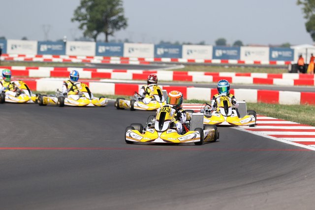 MeesHouben Cremona.03