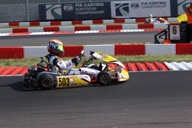 MeesHouben Cremona.04