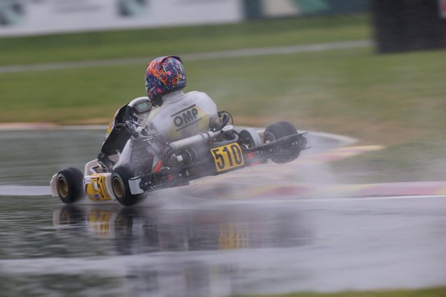 svtpadbosch valdargenton.03