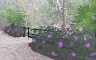 Schetsontwerp bosrijke tuin