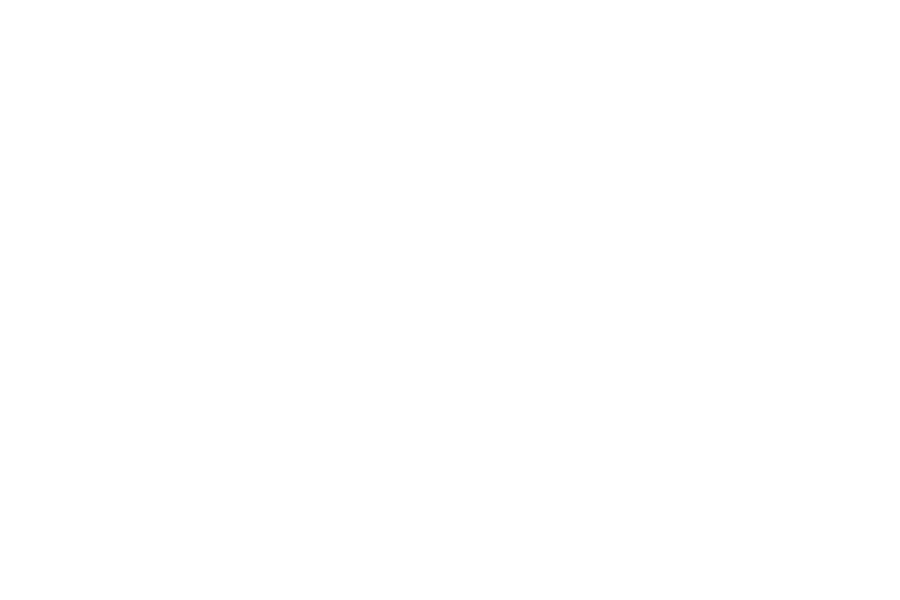 EK BMX Website Partner Brabant Sport White