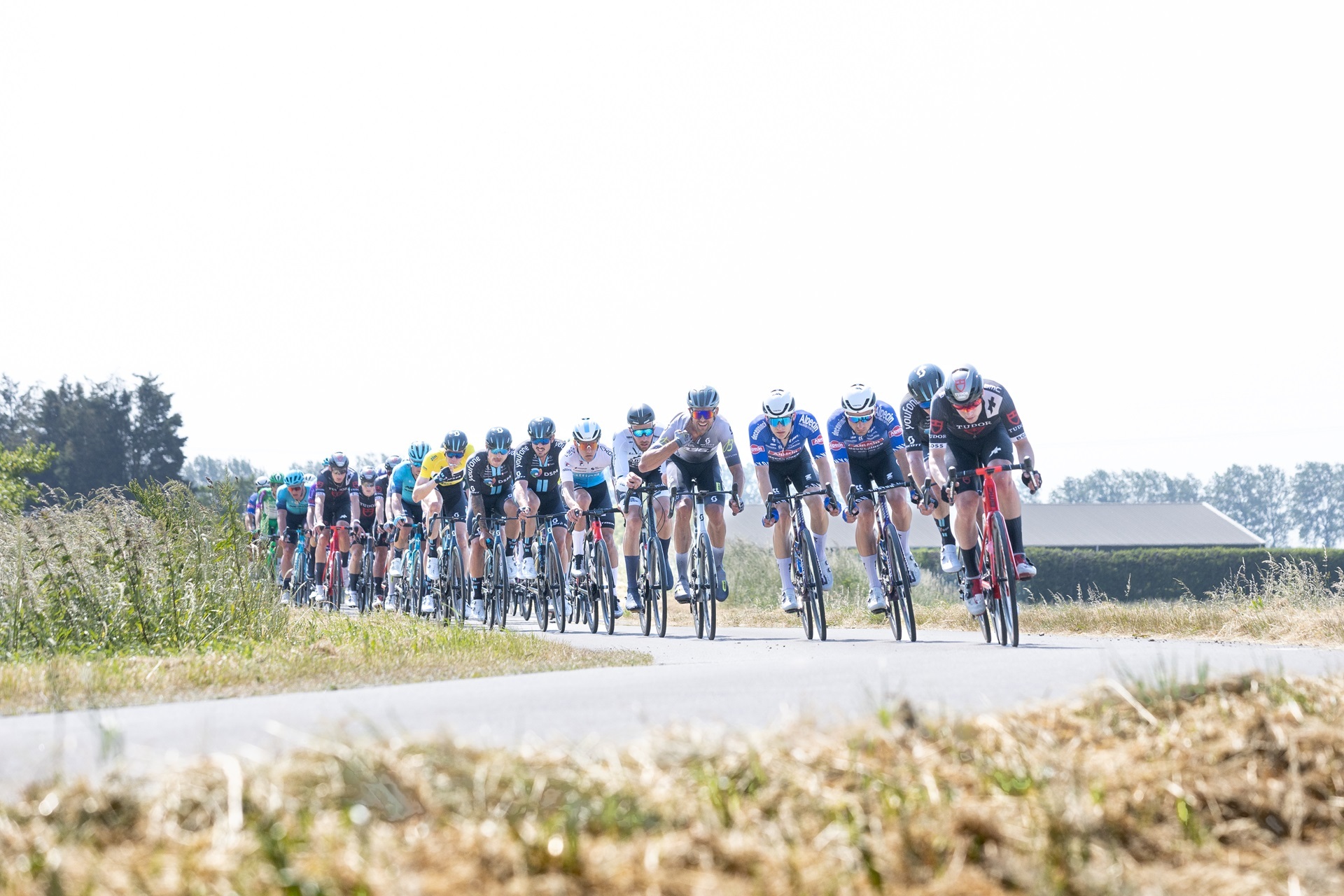 Alpecin