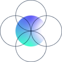 Rin usp network